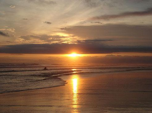 Национальный заповедник Паракас